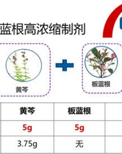 复方芩兰口服液